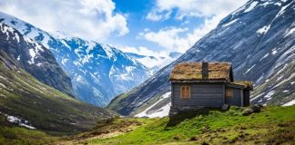 Projekt wystroju wnętrza domu, czyli funkcjonalne i estetyczne wnętrza