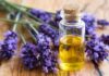 Olejki naturalne i ich właściwości olejek lawendowy
