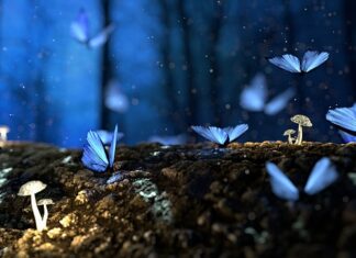 Jak łupać drewno? Jak łupać drewno?