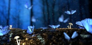 Jak dobrze skleić drewno?