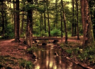 Czy 8 latek może jeździć na przednim siedzeniu?