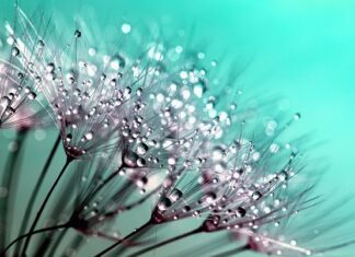 Do czego nie klei się Kropelka?