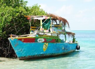 Ile kosztuje wymiana uszczelniacza półosi? Ile kosztuje wymiana uszczelniacza półosi?