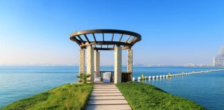 Jak sprawdzić czy AdBlue działa?