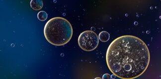 Jak sprawdzić poziom oleju hydraulicznego w T25?