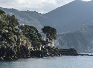 Ile kosztuje wymiana podsufitki Golf 5? Ile kosztuje wymiana podsufitki Golf 5?